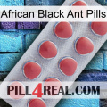 African Black Ant Pills 18